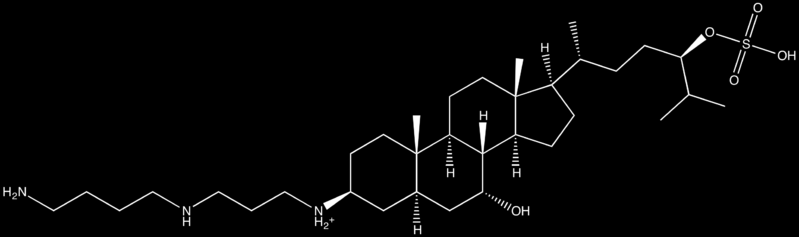 Glükopeptidek: Bleomicin Oligopeptid, egy heteroaromás gyűrűvel, és két cukor egységgel. Az egyes aminosavak nehezen ismerhetők fel, a bioszintézisből látszik, hogy szokatlan elemekből áll.