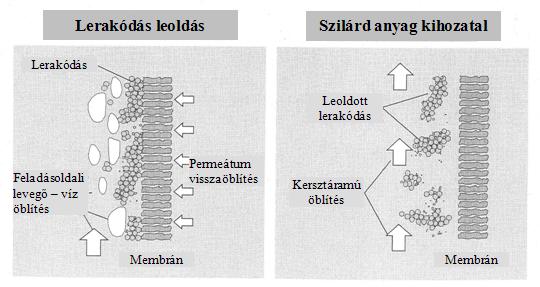 kompozit membránok (ezüst, acél, üveg, cirkónium oxid) kifejlesztésével tovább szélesedett a membrán-szeparációs eljárások felhasználási területe, hiszen mind mechanikai szilárdságukat, mind sav-,