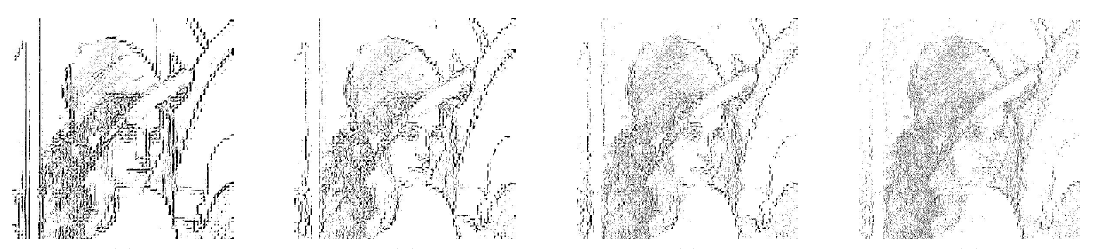 RVEA algoritmus 4.