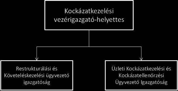 Restrukturálási és Követeléskezelési Bizottság (RKB): a Bank állandó testülete és a Restrukturálási és Követeléskezelési Ügyvezető Igazgatóság által kezelt ügyfélkör tekintetében a legmagasabb szintű