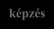 Vegyészképzés 7 OKJ-szám: 54 524 01 0010 5401 5402 Mit tanul? Hol tanulhat tovább?