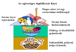 a táplálékpiramis vagy a tányér, ami a különböző élelmiszercsoportok fogyasztásának arányát szimbolizálja, de Magyarországon a szivárvány, illetve a ház mint motívum is elterjedt: GABONAFÉLÉK Teljes