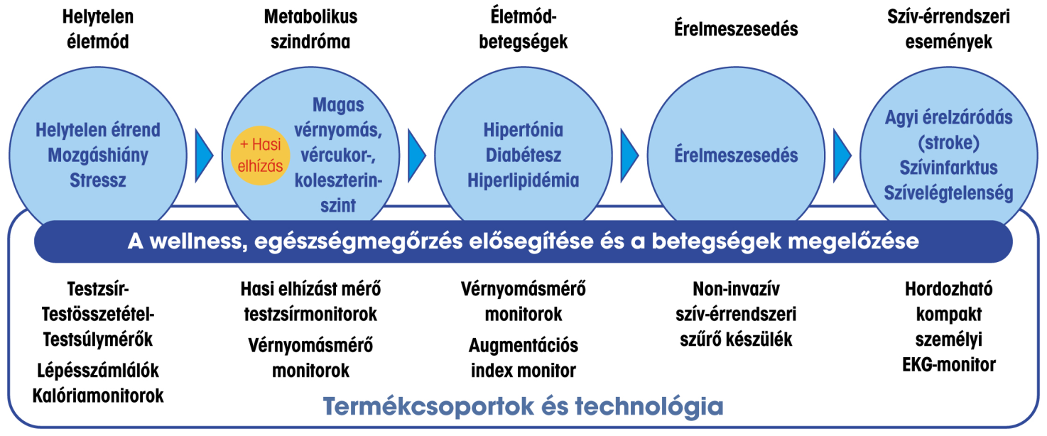 A szív-érrendszeri betegségek kialakulása, nyomonkövetése, terápiája alapkoncepciója: 26. ábra A szív-érrendszeri betegségek kialakulása és nyomonkövetése, terápiája koncepciója (forrás www.