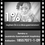 16 H I R D E T É S LEGYEN MESTER A SZAKMÁJÁBAN A Hajdú-Bihar Megyei Kereskedelmi és Iparkamara az alábbi mesterszakmákban szervez mestervizsgára felkészítő tanfolyamot: asztalos autóvillamossági