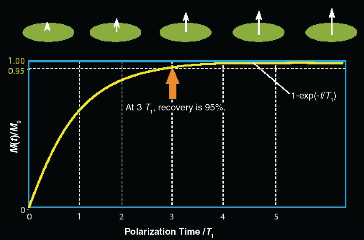 NMR longitudinális T 1 spin-rács relaxációs idő T 1 longitudinális relaxációs görbe azt szemlélteti, hogy a RF-s impulzus sorozat