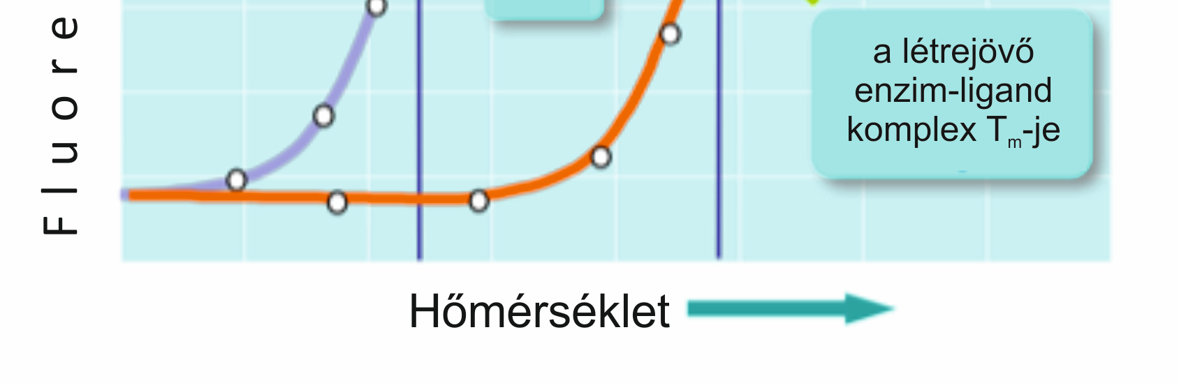 4.7. Az AVΔQ és CatH2 konstrukciók ligand kötésének vizsgálata 4.7.1.