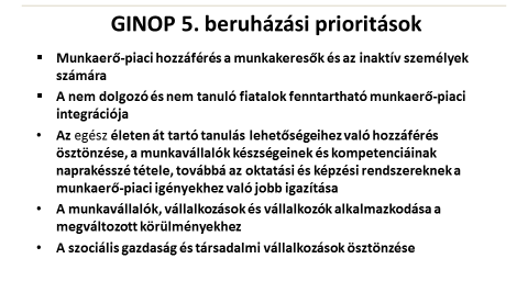 A VÁLLALKOZÁSFEJLESZTÉS FŐ ESZKÖZEI: GINOP GINOP: 5-ös