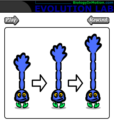 Internetes segédanyagok otthonra Evolúciós játék: http://biologyinmotion.com/evol/index.