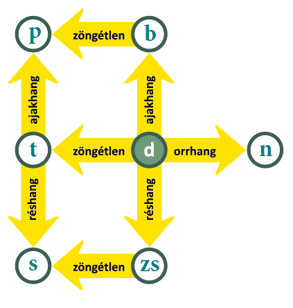 2. A magánhangzók 1. a) a á, e é 1. b) Az a és az á egyaránt mély magánhangzók, azonban az á ajakréses és legalsó nyelvállású, míg az a ajakkerekítéses és alsó nyelvállású.