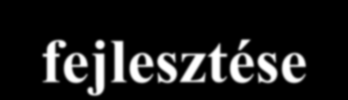 4.1.1. Alap és járóbeteg ellátás fejlesztése Konstrukciók: A: Alapellátás fejlesztése,