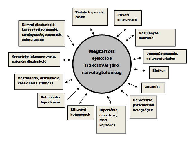 fenntartása és a pangásos tünetek enyhítése. Diasztolés szívelégtelenségben is felhasználható az ACE-gátlók és ARB-k kedvező hatása, főként hipertóniával való együttes fennállás esetén.