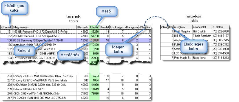 22 MySQL-adatbázisok kezelése 1. ábra Táblák a relációs adatmodellben 2.6 GYAKORLÓ ADATBÁZIS Az adatbázis konkrét adathalmaz, amelyet egy adatmodell szabályainak betartásával alakítottak ki.