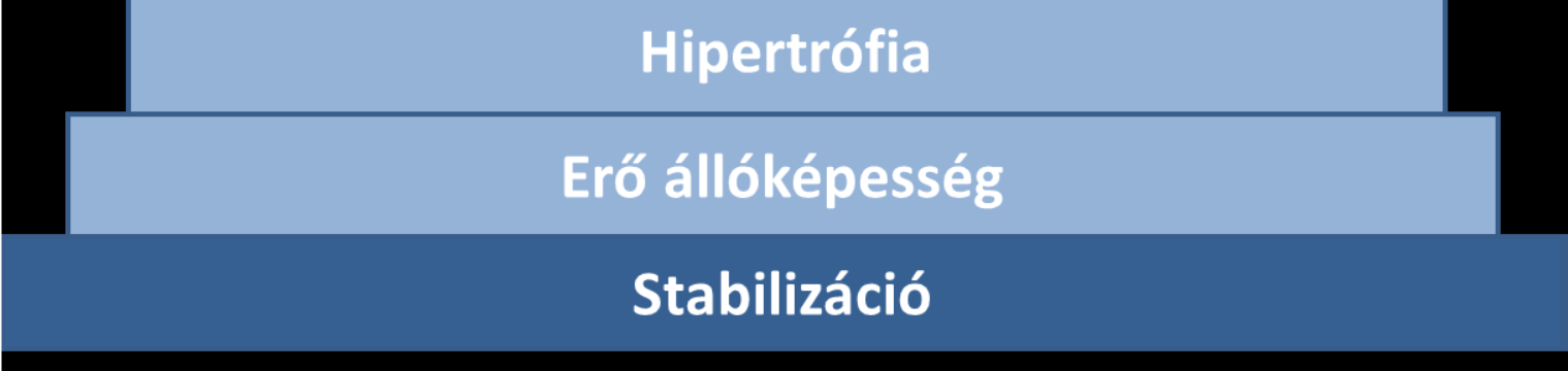 kivitelezést, és vizuális inger (tükör) segítségével megtanítjuk a sportolót az önkorrekcióra. Az integrálás sok időt vehet igénybe, ezért a terapeutának és a sportolónak is türelmesnek kell lennie.