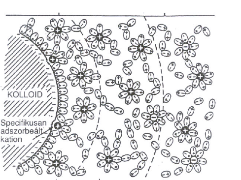 Ioneloszlás a kolloidok szolvát rétegében (S=Stern-réteg, D=diffúz réteg) Szilárd