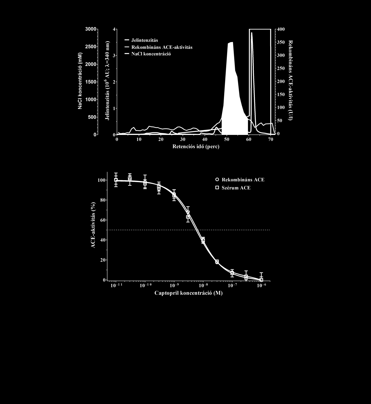 maleimidopropionamido)-hexaetilenglicol]-észtert (SM(PEG)6, Thermo Scientific) adtunk (16. ábra, +: 1,25 mm, ++: 2,5 mm, +++: 5 mm). A B 6.