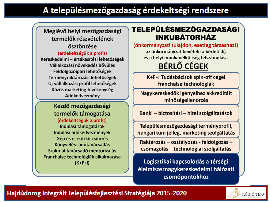 A szervezésben az önkormányzat tulajdonosi eszközökkel hozhatja létre a koordináló mechanizmust, mely azért jön létre, hogy biztosítsa a helyi gazdasági szolgáltatások fejlesztését és korszerűsítését.