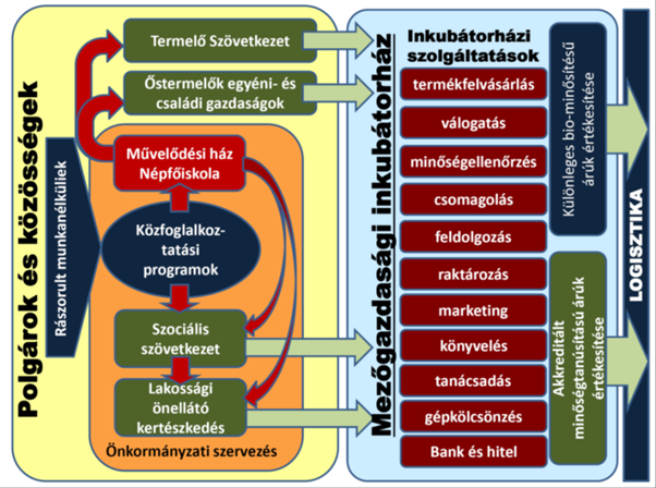 Hajdúdorog Önkormányzat helyi gazdaságfejlesztése a közfoglalkoztatás és a mezőgazdasági munkaprogramok és a mezőgazdasági inkubáció segítségével (Saját ábra) Az inkubáció hozzájárul egy strukturált