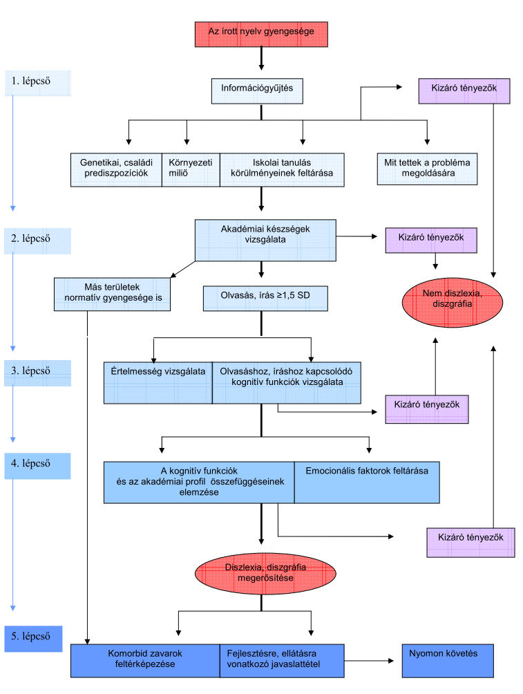 10. sz. ábra Az írott nyelvi zavarok diagnosztikus-értékelő folyamatábrája a tölcsérelv alapján. A modell első szintje a minél több forrásból merítő információgyűjtésre fókuszál.