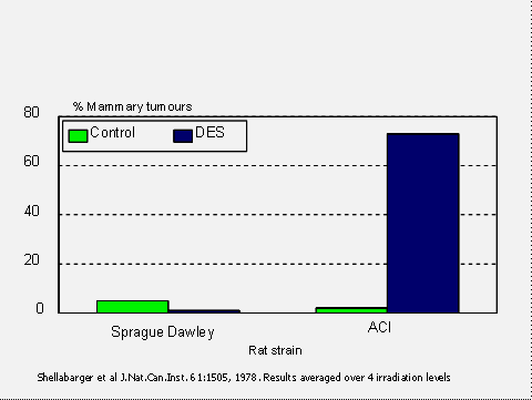 DES és az emlőtumor A genetikai háttér szerepe A különböző élőlények,