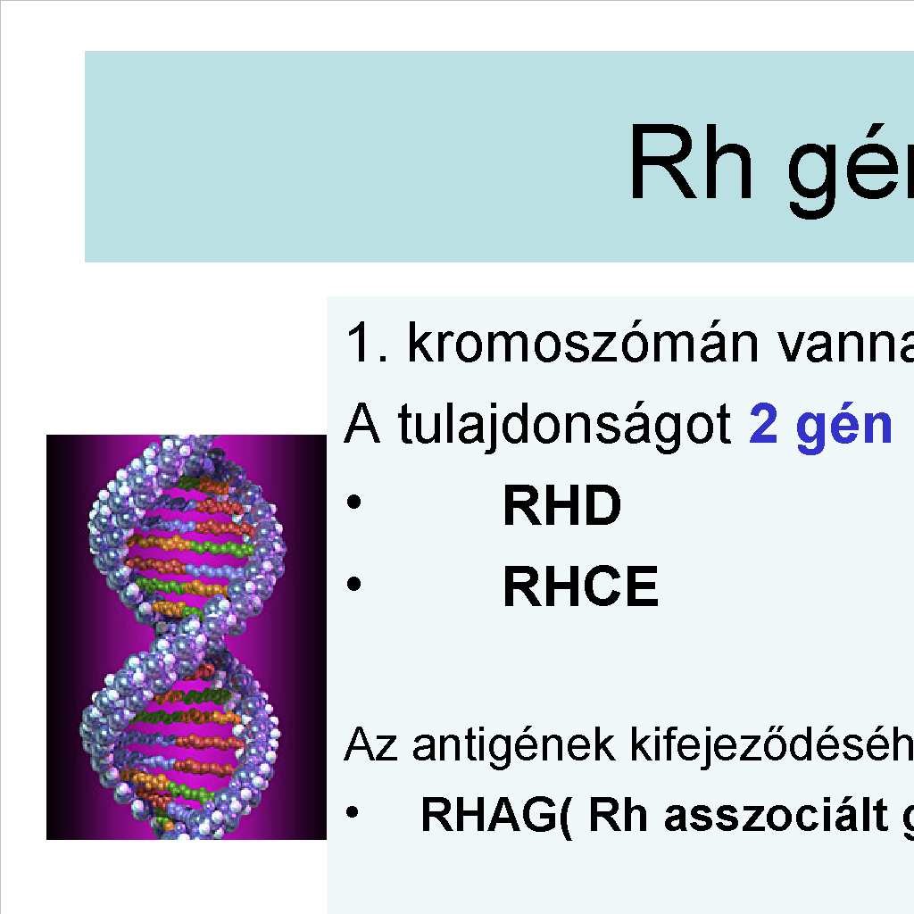 Genetikai elképzelések Patricia Tippett