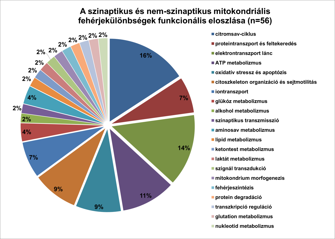 A piruvát dehidrogenáz komplex 3 alegysége például alacsonyabb, 1 alegysége magasabb szintet mutatott az smitoban.