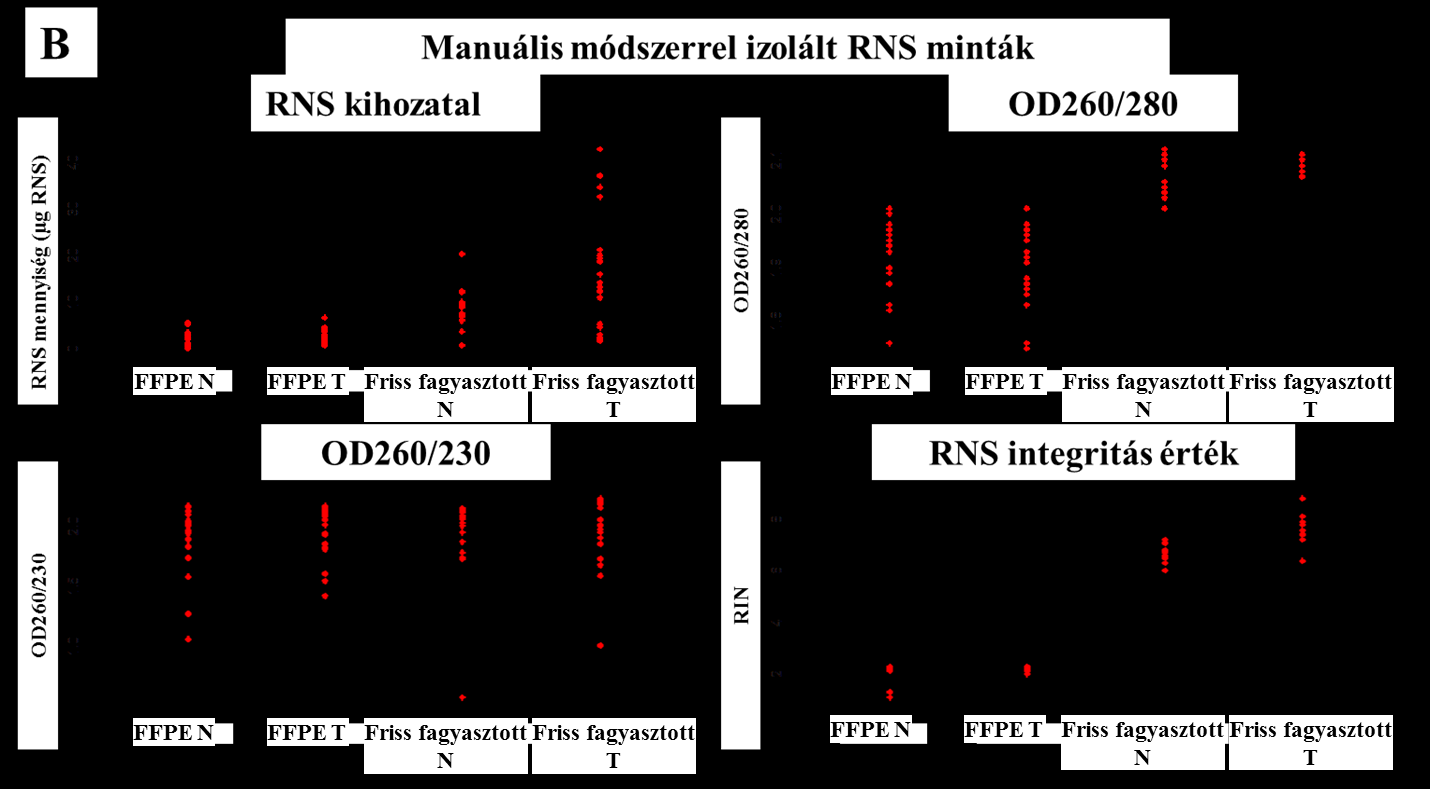 13. ábra: Az automatizált (A) és a manuális (B) módszerrel izolált RNS minták mennyiségi és minőségi jellemzői.