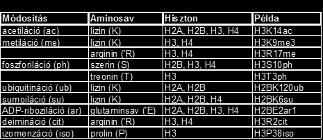 A hiszton fehérjék N-terminális régióján lejátszódó poszttranszlációs módosítások egyike azoknak a folyamatoknak, amelyek hozzájárulnak a kromatinszerkezet dinamikus átalakításához. Az ún.