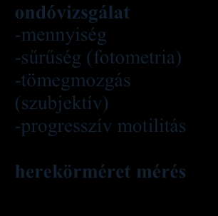 1 Motilitás, sűrűség, morfológia meghatározása A harmadik kísérletet a Debreceni Egyetem Kismacsi Kísérleti Telepén végeztem 2013. április 16 és december 8-a között.