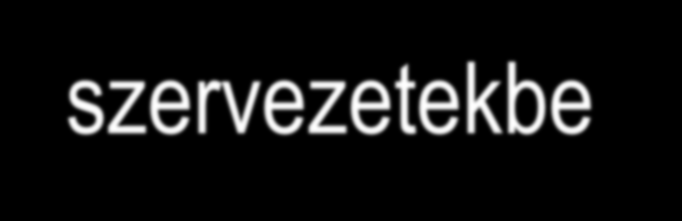 Klaszterek képződése, bevonása a desztinációs szervezetekbe A DM-szervezet kell, hogy kapcsolódjon, s ösztönözze a vállalkozások, közvetlen piaci és kapcsolódó szakmai szereplők klaszter típusú