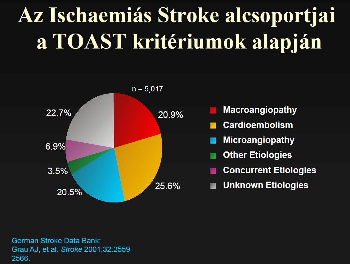 Macroangiopathia Cardio-embolisatio Microangiopathia