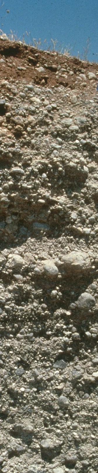 Összefüggő kemény kőzet Az összefüggő kemény kőzet a talaj alatt húzódó szilárd, ágyazati kőzet, melybe nem tartoznak bele a cementált
