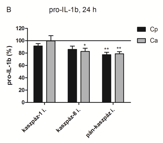 által indukált IL-1β szekréciót (23A ábra).