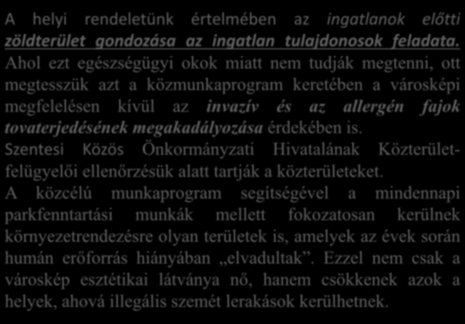 A helyi rendeletünk értelmében az ingatlanok előtti zöldterület gondozása az ingatlan tulajdonosok feladata.