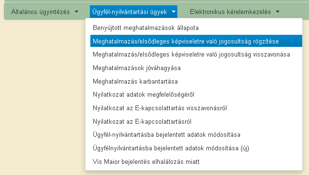 4.1. Képviselt választását követő menü Amennyiben az Ügyfélkapuval rendelkező felhasználó nem a saját nevében (hanem mint meghatalmazott/kamarai meghatalmazott/elsődleges képviseletre jogosult) adja