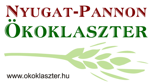 a Névjegykártyák A logo a bal felsõ sarokban helyezkedik el az alábbi módon. A jobb felsõ sarokban a tevékenységre utaló körbevágott fotó megengedett és javasolt, de nem kötelezõ.