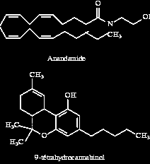 Kannabisz-hatóanyagok (kannabinoidok) Indiai kender drogok hasis marijuana, fű 9-Tetrahidrocannabinol, THC Gyógyszer a