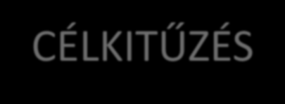 CÉLKITŰZÉS Vízmintavétel talajvizes kutakból. Trícium-csúcs módszer és a 3 H/ 3 He-módszer alapján vízkor meghatározás. Az utánpótlódás mértékének meghatározása a 2 fázisú zónában.