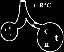 Monitoring B Respiration Expirated CO 2 (IR capnography) II.