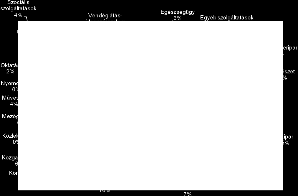 16. ábra: A Dél-Dunántúli Régió Szakképző Iskoláiban tanuló diákok létszámának szakmák szerinti megoszlása a 2010/2011-es tanévben Szerk.: KIR-STAT és iskolai statisztikai adatok alapján szerz. 2012.