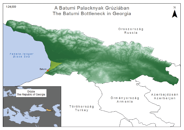 ahol a megfigyelt madarak száma meghaladja az egymilliót: Veracruz (Mexikó), Kéköldi (Costa Rica) és Eilat (Izrael) (Bildstein 2006).