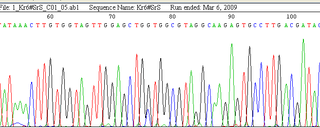 >1_Kr6#SrS_C01_05 sequence exported from chromatogram file TNAGTCCATTTTCATTATTTTTATTATAAGGCCTGCTGAAAATGACTGAATATAAACTTG TGGTAGTTGGAGCTGGTGGCGTAGGCAAGAGTGCCTTGACGATACAGCTAATTCAGAATC