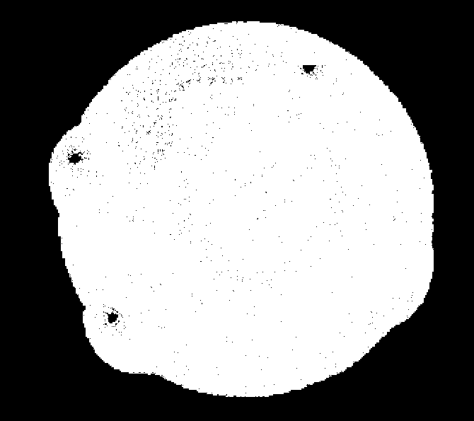 Foszfolipid Triglicerid