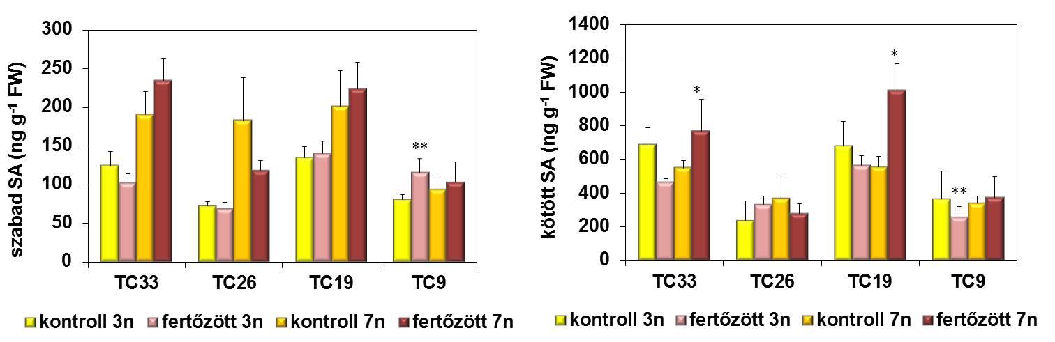 10. ábra: A PS II kvantumhatásfokát jelző F/Fm paraméter változásai 3, illetve 7 nappal a lisztharmatfertőzés után felnőtt korú búzában. (n=10; SD). 5.2.