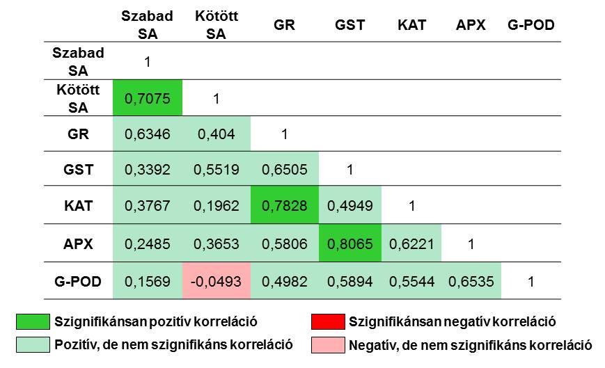 továbbá az APX és G-POD aktivitásokkal, de a szabad SA-val csak kevésbé. A KAT működése is összefüggésben állt a másik két H 2 O 2 eliminálásért felelős enzim aktivitásával. 5.