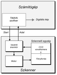 Jelenleg az olcsóbb szkennereket CIS érzékelovel (Contact Image Sensor érintkezo képérzékelo) szerelik fel.