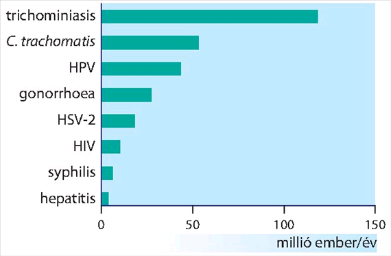 A leggyakoribb nemi úton közvetített fertőzések (WHO