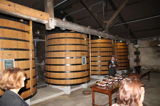 (Provance és Bordeaux - borászati technológiák, Cognac - konyakgyártás technológia Franciaország).