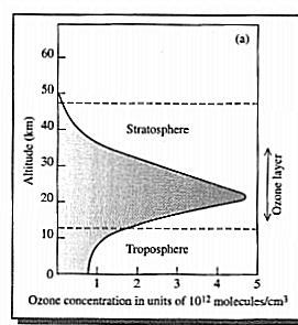 Ennek ellenére viszonylag magas légköri koncentrációja miatt a CO 2 hozzájárulása a legnagyobb a melegedési folyamatokhoz.