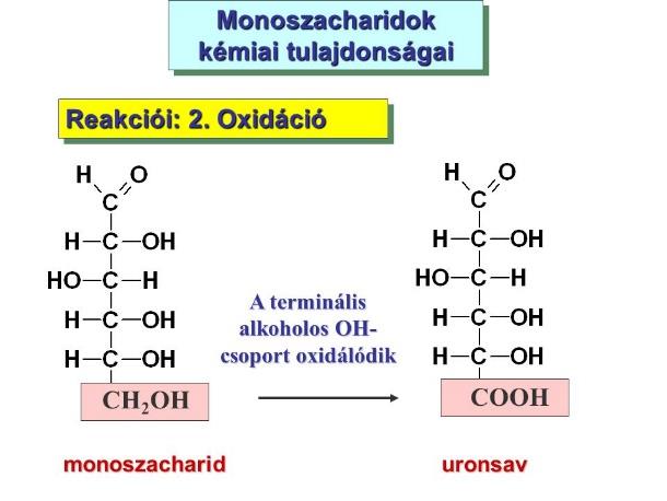 Poliszacharidok A poliszacharidok monoszacharid-részekből felépített nagy molekulatömegű vegyületek. Általában 80-10000 monomer egységből állnak.