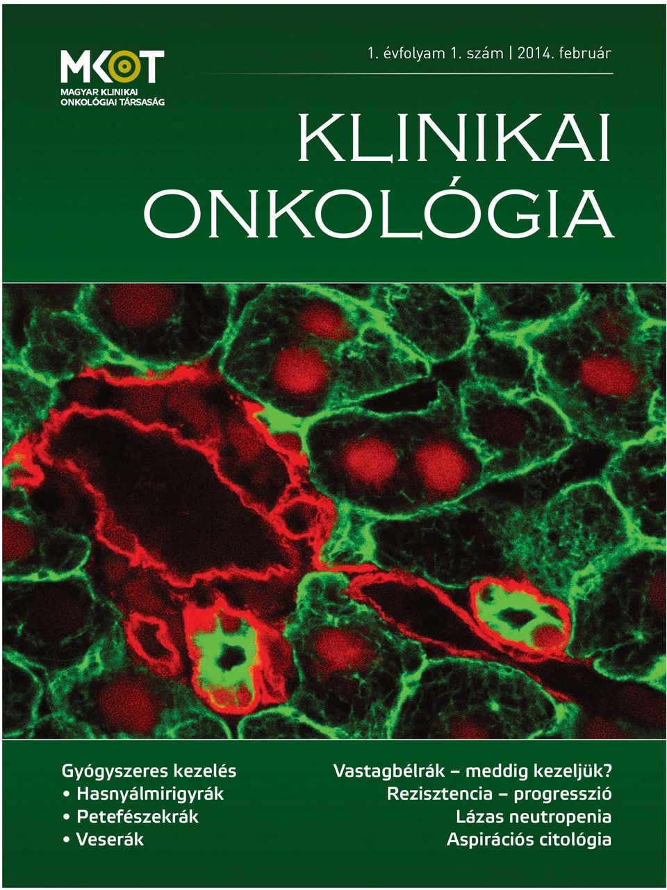 ONKOLÓGIA Gyógyszeres kezelés Hasnyálmirigyrák Petefészekrák